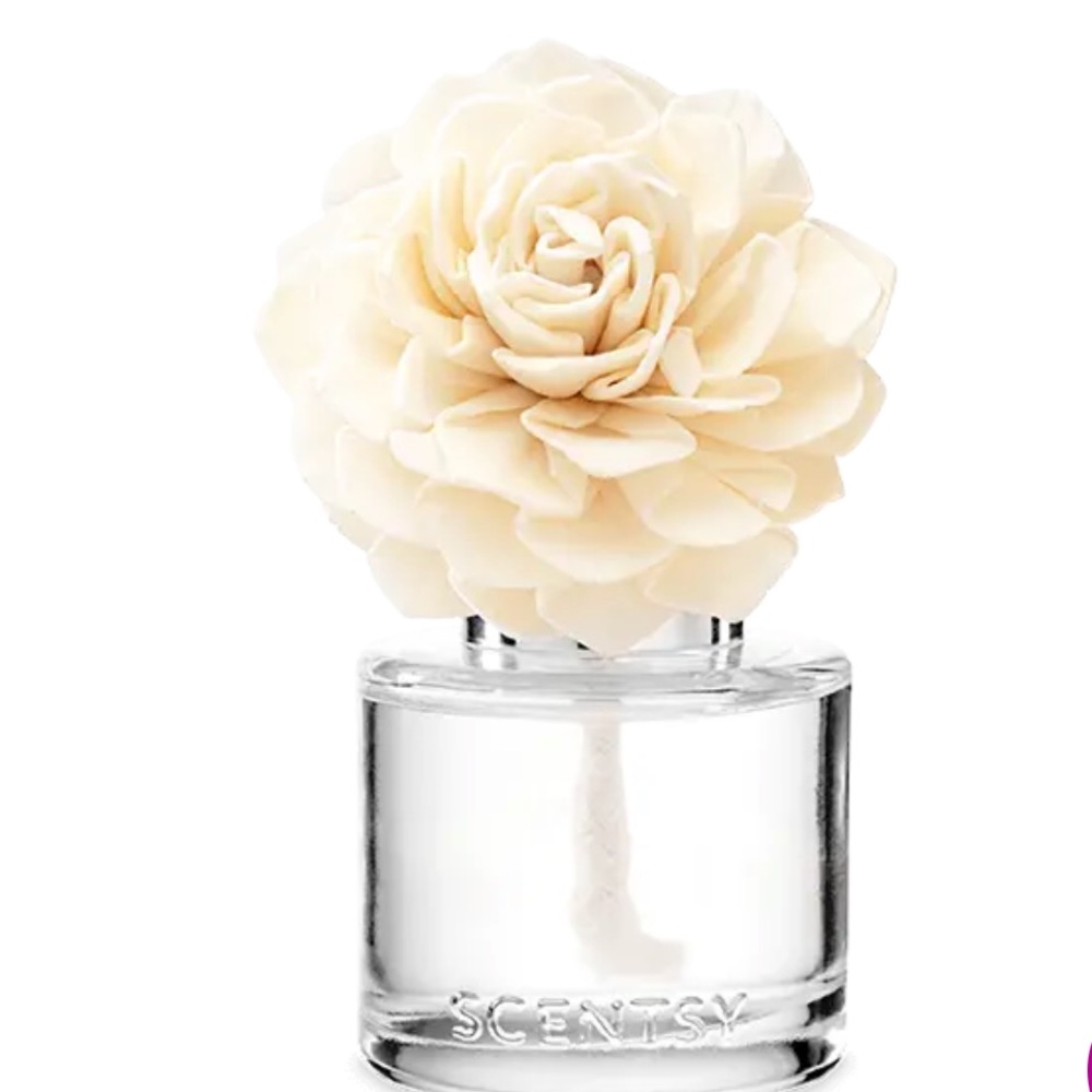 Scentsy dahlia darling fragrance oil flower 🌸